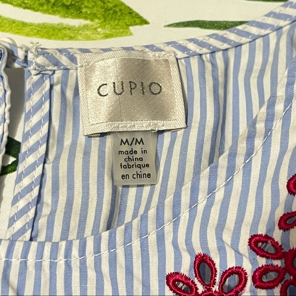 Cupio Women Cold Shoulder Cut Ruffle Trim Blue Stripe Cotton Dress size Medium - Picture 8 of 13